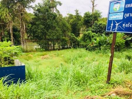 ขายด่วนที่ดิน-2-โฉนด-6-ไร่-36-ตรวา-อเขาค้อ-จ-เพชรบูรณ์