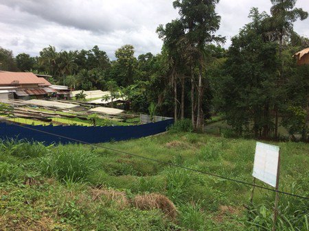 ขายด่วนที่ดิน-2-โฉนด-6-ไร่-36-ตรวา-อเขาค้อ-จ-เพชรบูรณ์