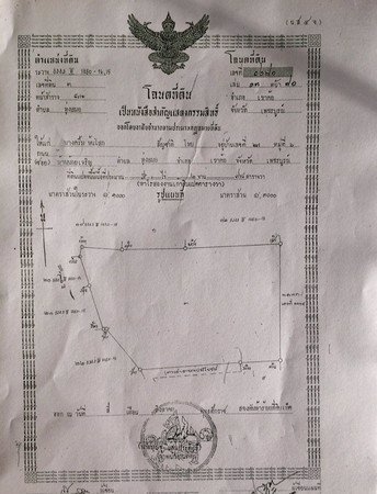 ขายด่วนที่ดิน-2-โฉนด-6-ไร่-36-ตรวา-อเขาค้อ-จ-เพชรบูรณ์