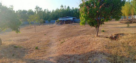 ขายบ้านพร้อมที่ดินจำนวน-4-ไร่-2-งาน-อหนองพอก-จร้อยเอ็ด