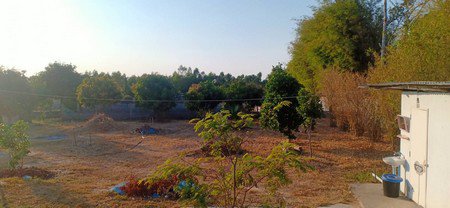 ขายบ้านพร้อมที่ดินจำนวน-4-ไร่-2-งาน-อหนองพอก-จร้อยเอ็ด