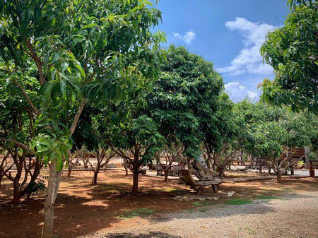 ด่วนขายกิจการปั้มน้ำมันบริษัท-pt-และรีสอร์ท-ทำเลดีมาก-เหมาะกับการลงทุน