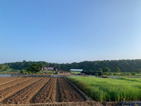ขายที่ดินพื้นที่สวย-เหมาะทำรีสอร์ท-ทำการเกษตรแบบผสมผสาน-วิวสวยงาม-จลำพูน