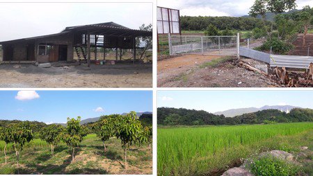 ขายที่ดินพื้นที่สวย-เหมาะทำรีสอร์ท-ทำการเกษตรแบบผสมผสาน-วิวสวยงาม-จลำพูน