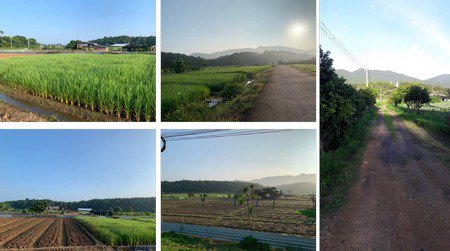 ขายที่ดินพื้นที่สวย-เหมาะทำรีสอร์ท-ทำการเกษตรแบบผสมผสาน-วิวสวยงาม-จลำพูน