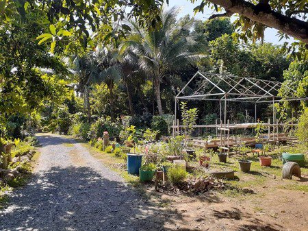 ขายที่ดินพร้อมบ้าน-1-หลัง-ใกล้เทศบาลสันทรายหลวง-ลดพิเศษ-15-ล้านบาท