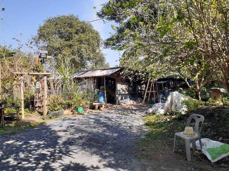 ขายที่ดินพร้อมบ้าน-1-หลัง-ใกล้เทศบาลสันทรายหลวง-ลดพิเศษ-15-ล้านบาท