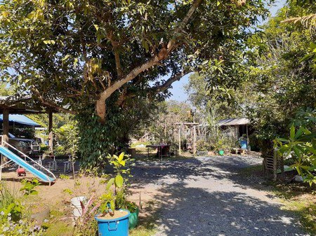 ขายที่ดินพร้อมบ้าน-1-หลัง-ใกล้เทศบาลสันทรายหลวง-ลดพิเศษ-15-ล้านบาท