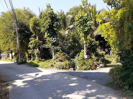 ขายที่ดินพร้อมบ้าน-1-หลัง-ใกล้เทศบาลสันทรายหลวง-ลดพิเศษ-15-ล้านบาท