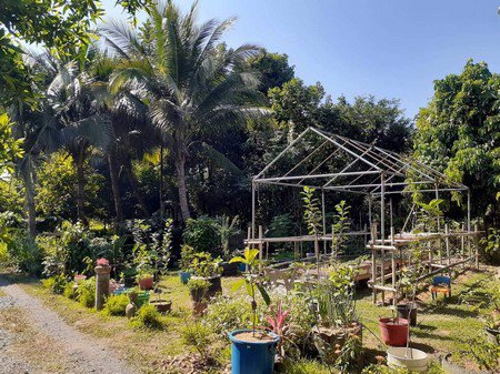 ขายที่ดินพร้อมบ้าน-1-หลัง-ใกล้เทศบาลสันทรายหลวง-ลดพิเศษ-15-ล้านบาท