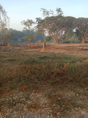 ขายที่ดินทำเลดี-8-ไร่-1-งาน-39-ตรว-สามารถทำธุระกิจได้-จังหวัดปทุมธานี