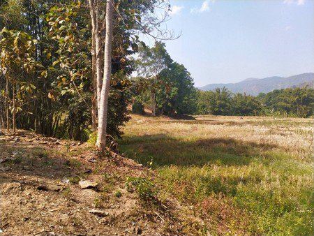 ด่วนที่สุด-ขายที่ดินเนื้อที่เกื่อบไร่-จังหวัดเชียงใหม่-ราคานี้วิวดี-เห็นวิวภูเขา