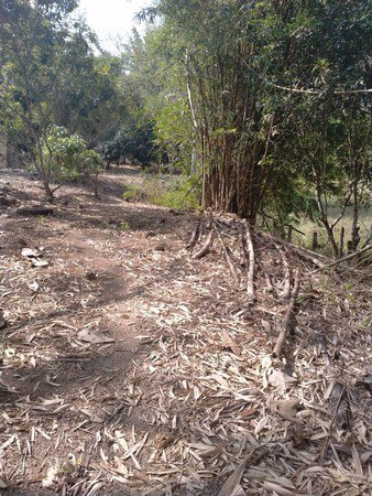 ด่วนที่สุด-ขายที่ดินเนื้อที่เกื่อบไร่-จังหวัดเชียงใหม่-ราคานี้วิวดี-เห็นวิวภูเขา