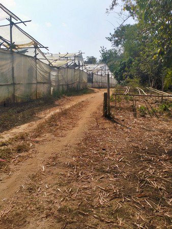 ด่วนที่สุด-ขายที่ดินเนื้อที่เกื่อบไร่-จังหวัดเชียงใหม่-ราคานี้วิวดี-เห็นวิวภูเขา