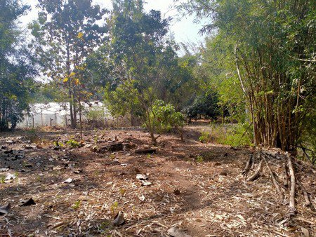 ด่วนที่สุด-ขายที่ดินเนื้อที่เกื่อบไร่-จังหวัดเชียงใหม่-ราคานี้วิวดี-เห็นวิวภูเขา