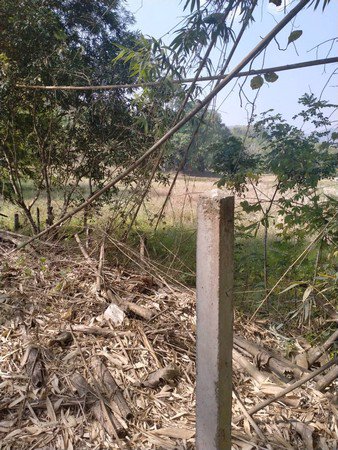 ด่วนที่สุด-ขายที่ดินเนื้อที่เกื่อบไร่-จังหวัดเชียงใหม่-ราคานี้วิวดี-เห็นวิวภูเขา