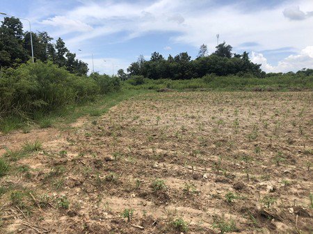 ขายที่ดินแปลงสวยมาก-ตรงข้ามวัดนาคอก-ใกล้เมืองราชบุรี-เจ้าของขายเอง