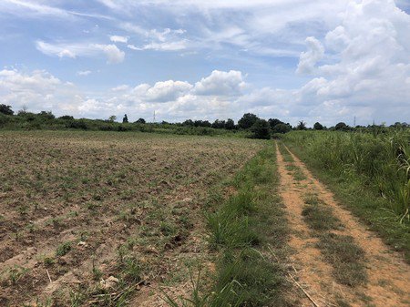 ขายที่ดินแปลงสวยมาก-ตรงข้ามวัดนาคอก-ใกล้เมืองราชบุรี-เจ้าของขายเอง