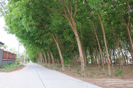 ขายที่ดินเปล่า-ติดถนนสายเอกปลวกแดง-จังหวัดระยอง