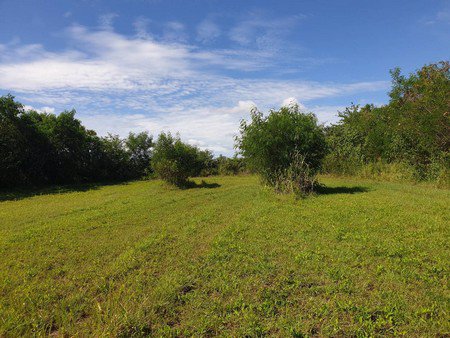 ขายที่ดินโฉนดสวย-วิว-180-องศา-15-ไร่-3-งาน-77-ตารางวา-อยู่ติดโครงการ-myozone