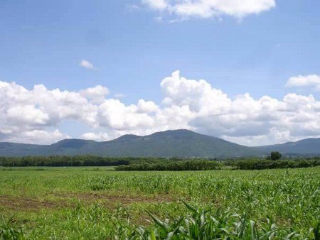 ขายที่ดินโฉนดสวย-วิว-180-องศา-15-ไร่-3-งาน-77-ตารางวา-อยู่ติดโครงการ-myozone