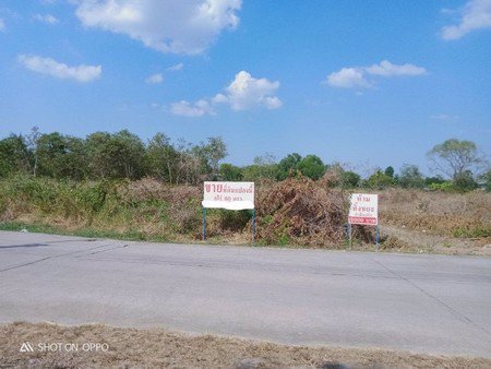 ขายที่ดินเปล่ามีโฉนดจำนวน-8-ไร่-60-ตรวา-อ-บางคล้า-จฉะเชิงเทรา