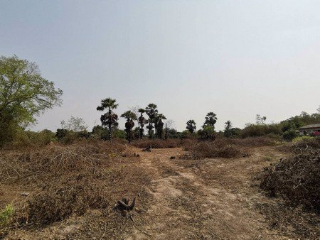 ขายที่ดินเปล่ามีโฉนดจำนวน-8-ไร่-60-ตรวา-อ-บางคล้า-จฉะเชิงเทรา