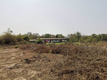 ขายที่ดินเปล่ามีโฉนดจำนวน-8-ไร่-60-ตรวา-อ-บางคล้า-จฉะเชิงเทรา