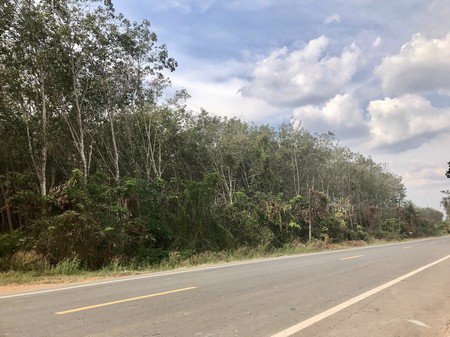 ขายที่ดินพร้อมสวนผลไม้ต่างๆทำเลดี-บ้านปลูกใหม่น้ำ-ไฟพร้อมอยู่-จจันทบุรี