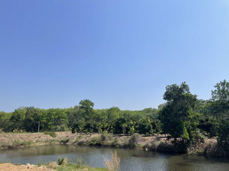 ขายที่ดินพร้อมสวนผลไม้ต่างๆทำเลดี-บ้านปลูกใหม่น้ำ-ไฟพร้อมอยู่-จจันทบุรี