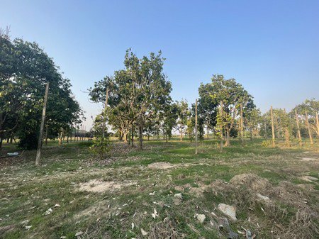 ขายที่ดินพร้อมสวนผลไม้ต่างๆทำเลดี-บ้านปลูกใหม่น้ำ-ไฟพร้อมอยู่-จจันทบุรี