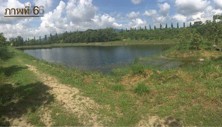 ขายที่ดินทำเลดีอยู่แหล่งชุมชน-ใกล้แหล่งโรงงานอุตสาหกรรม-จังหวัดชลบุรี