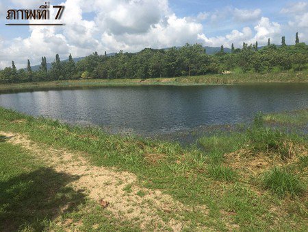 ขายที่ดินทำเลดีอยู่แหล่งชุมชน-ใกล้แหล่งโรงงานอุตสาหกรรม-จังหวัดชลบุรี