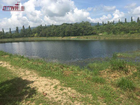 ขายที่ดินทำเลดีอยู่แหล่งชุมชน-ใกล้แหล่งโรงงานอุตสาหกรรม-จังหวัดชลบุรี