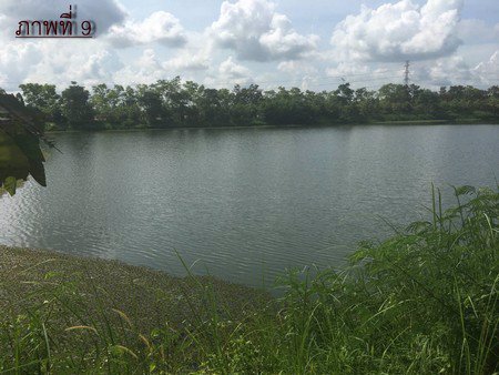 ขายที่ดินทำเลดีอยู่แหล่งชุมชน-ใกล้แหล่งโรงงานอุตสาหกรรม-จังหวัดชลบุรี