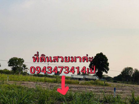 ขายด่วน-ที่ดินแปลงใหม่-ทำเลดีทำเลทอง-อยู่ระหว่างชะอำและหัวหิน-ใก้ล-กทม-เดินทางสะดวก