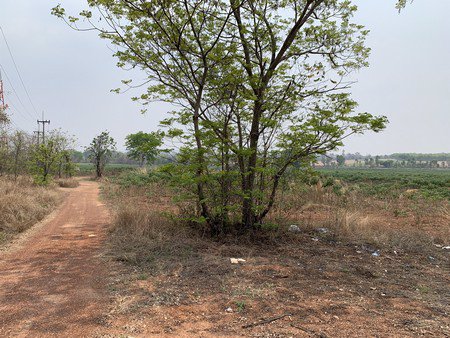 ขายที่ดินเปล่า-จังหวัดอุดรธานี-อยู่บนถนนมิตรภาพ-เนื้อที่-52-ไร่-40-ตารางวา