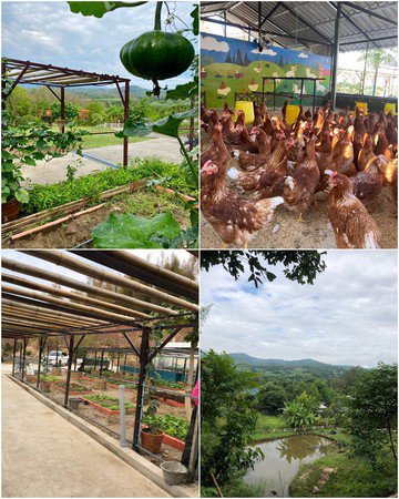 ขายที่ดิน-พร้อมศูนย์เกษตรพอเพียง-จังหวัดเชียงใหม่-สามารถเข้ามาบริหารต่อได้เลย