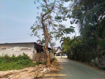 ขายที่ดินเปล่า-แปลงสี่เหลี่ยมสวย-ติดถนนหลัก-ค้าขายได้-จังหวัดเชียงใหม่