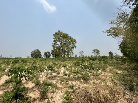 ขายที่ดินเปล่า-บ้านโนนรัง-จังหวัดขอนแก่น-เนื้อที่-29-ไร่-3-งาน-30-ตารางวา