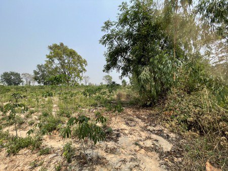 ขายที่ดินเปล่า-บ้านโนนรัง-จังหวัดขอนแก่น-เนื้อที่-29-ไร่-3-งาน-30-ตารางวา