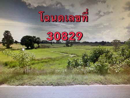 ขายที่ดินเปล่า-ติดถนนหมายเลข-2069-จังหวัดชัยภูมิ-เนื้อที่-64-ไร่-1-งาน-72-ตารางวา
