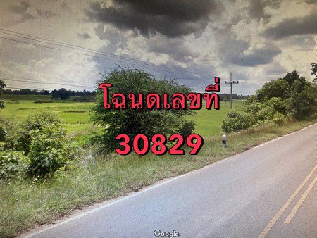 ขายที่ดินเปล่า-ติดถนนหมายเลข-2069-จังหวัดชัยภูมิ-เนื้อที่-64-ไร่-1-งาน-72-ตารางวา
