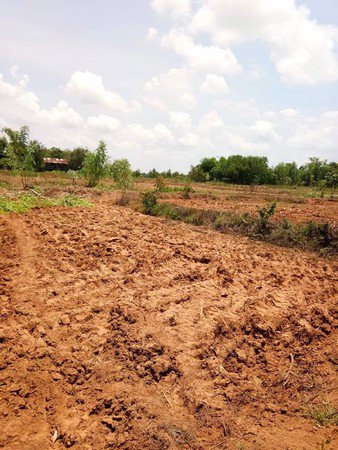 ขายด่วน-ที่ดินเปล่า-2-ไร่-3-งาน-15-ตารางวา-น้ำไฟ-ครบ-จสกลนคร