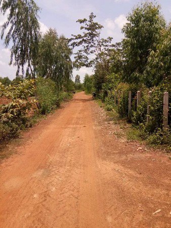 ขายด่วน-ที่ดินเปล่า-2-ไร่-3-งาน-15-ตารางวา-น้ำไฟ-ครบ-จสกลนคร