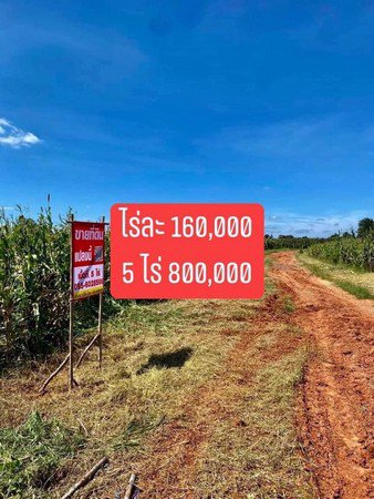 ที่ดินเปล่า-จังหวัดนครราชสีมา-อากาศดี-วิวสวย-ราคาถูก