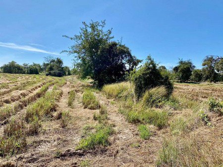 ขายที่ดินเปล่า-19-ไร่-1-งาน-9-ตารางวา-บ้านสำโรง-จังหวัดนครราชสีมา