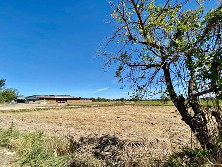 ขายที่ดินเปล่า-19-ไร่-1-งาน-9-ตารางวา-บ้านสำโรง-จังหวัดนครราชสีมา