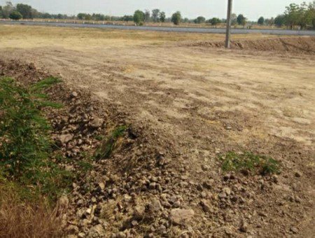 ขายที่ดินติดถนนลาดยางล้อมรั้วแล้วเรียบร้อยโฉนด-3-ใบ