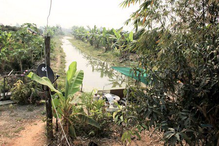 ขายที่ดินพร้อมทำการเกษตรแบบผสมผสาน-พร้อมบ้านไม้สัก-2หลัง-และโรงจอดรถ-จลำพูน